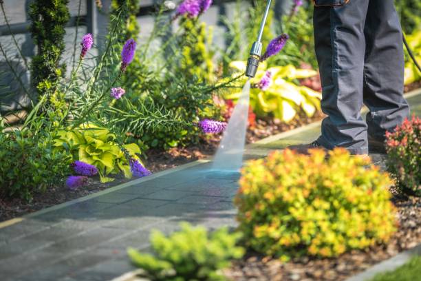 Best Restaurant Pressure Washing  in Seabrook, SC