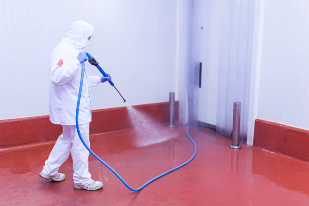 Best Sidewalk and Walkway Cleaning  in Seabrook, SC