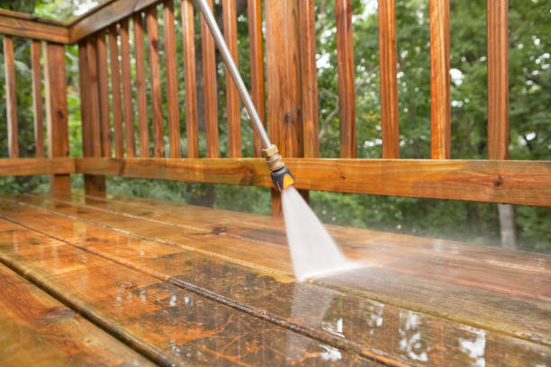 Animal Enclosure Cleaning in Seabrook, SC